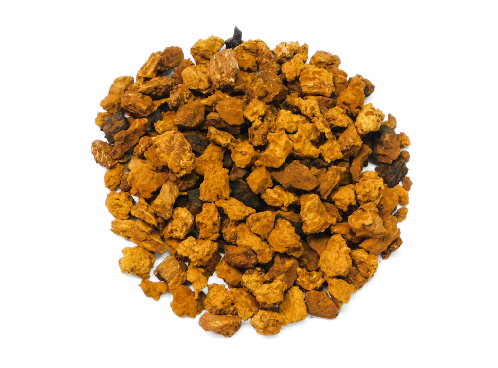 Chaga Mushroom (Inonotus obliquus)