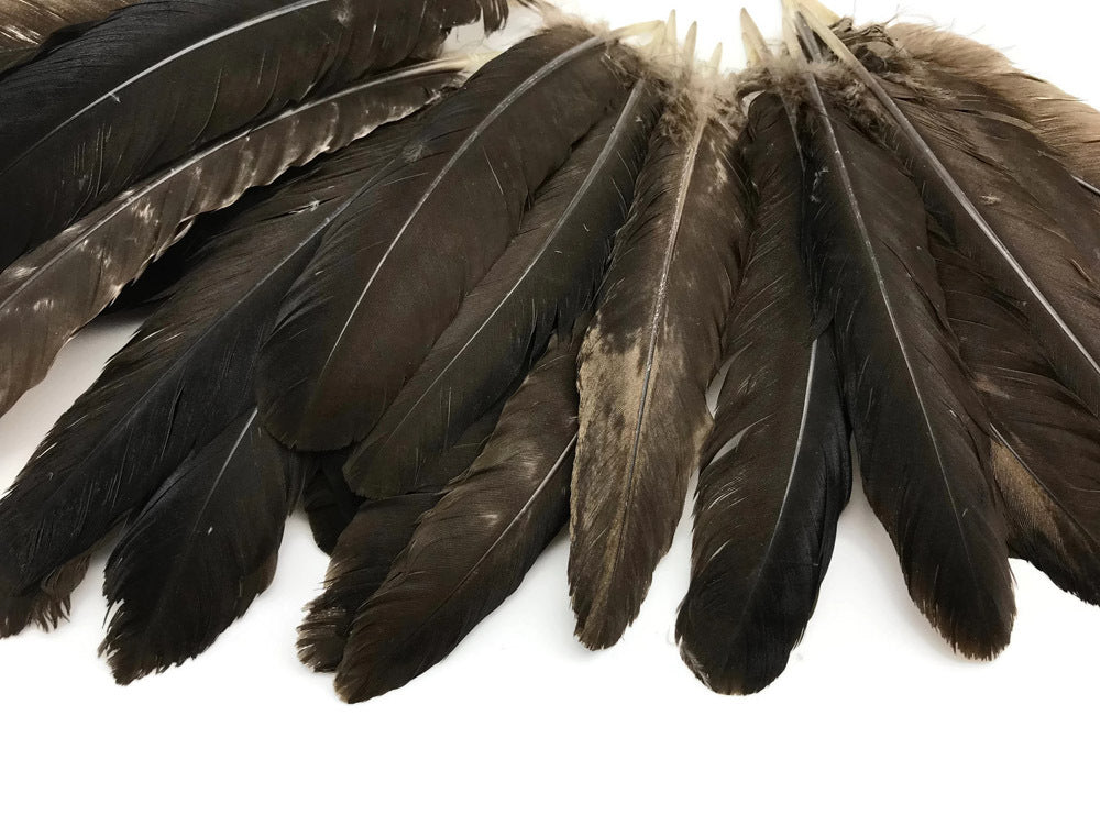 Feathers - Turkey (Brown) Wing Round (1 pcs)