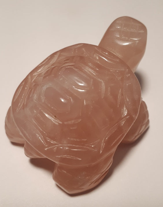 Gem - Turtle - Rose Quartz (2"+ Medium)