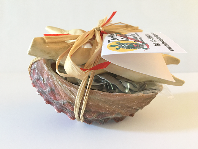 Turtle Shell Smudge Smudge Bundle *ORIGINAL* (1 pc) – Turtle Lodge Trading Post Inc